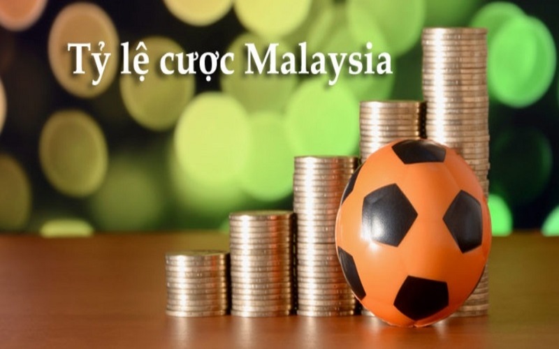 Quy trình tính tiền trong tỷ lệ cá cược Malaysia