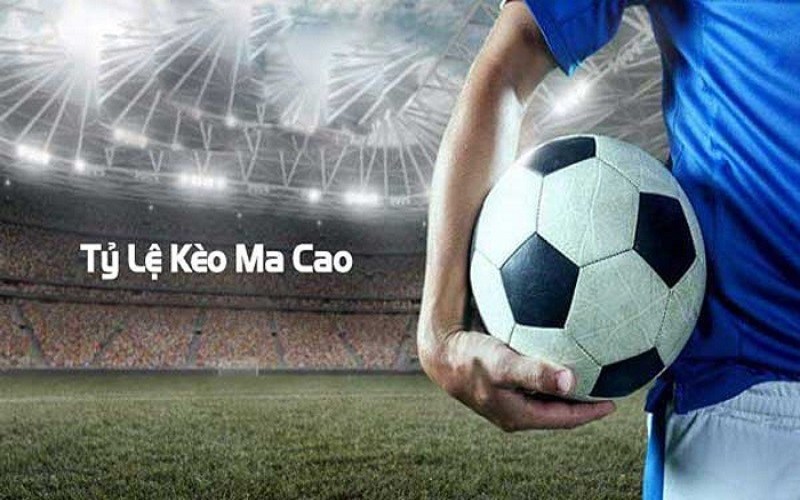 Giải thích khái niệm về tỷ lệ cá cược Ma Cao